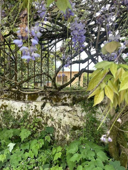 Gite Lilas Ideal Pour 4 Pers Capian Extérieur photo
